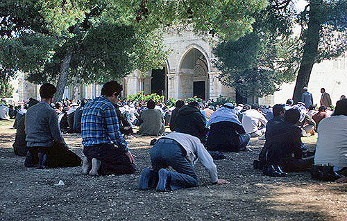 Israel, Jerusalem, Muslim men kneel for Friday prayer outside the Al Aqsa Mosque