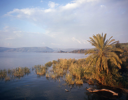 Sea of Galilee, early morning, looking west, Israel