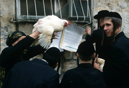 Israel Jerusalem Ultra-Orthodox Jews with live chickens for Kapparot ritual before Day of Atonement