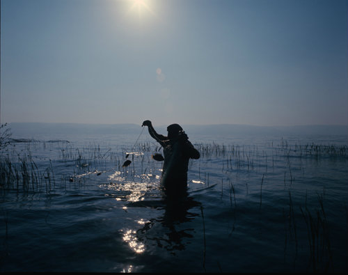 Fisherman lifting his net with two fish, early morning, Sea of Galilee, Israel