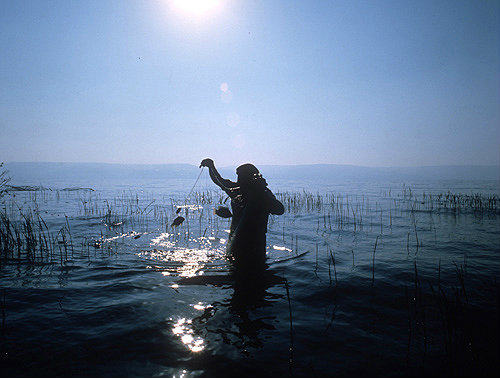 Fisherman lifting his nets with two fish, early morning on Sea of Galilee, Israel