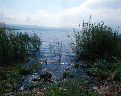 Israel, the shore of the Sea of Galilee at the northern end