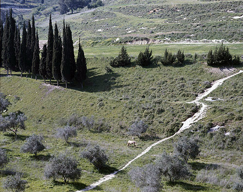 Israel, the valley between Cana and Nazareth, Jesus would have crossed this valley on his way between the towns
