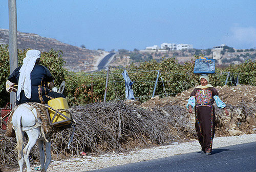Israel, woman on a donkey and woman passing on the road near Bethlehem