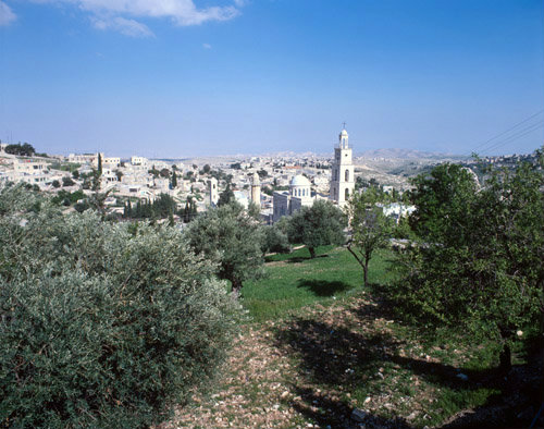 Israel, view of Bethany over olive grove