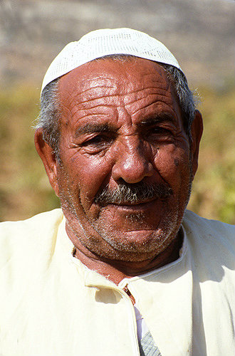 Israel, portrait of an Arab in a vineyard