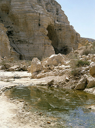 Israel, ein Avdat, pool in the valley