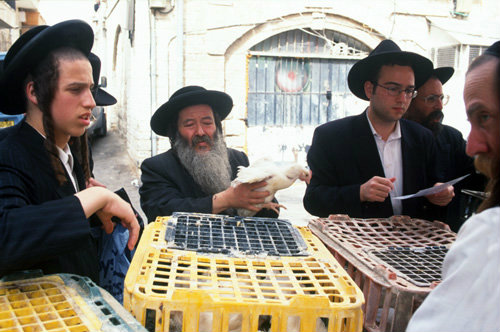 Israel Jerusalem religious Jews buying roosters for the Kaparot ritual ahead of Yom Kippur