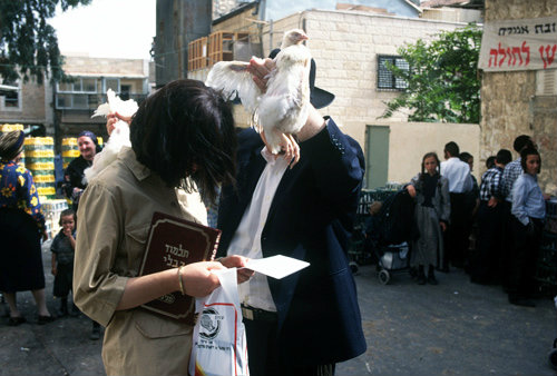 Israel Jerusalem a religious Jew performs the Kaparot ritual over his wife and unborn child