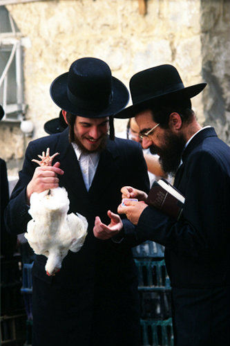 Israel Jerusalem religious Jews inspect a rooster before performing the Kaparot ritual