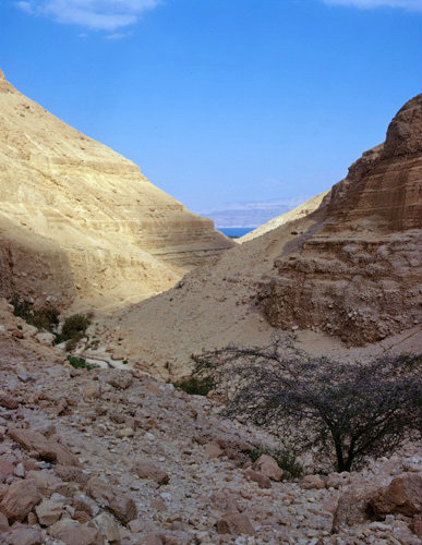 Israel, Ein Gedi, view down Wadi Arugot to Dead Sea