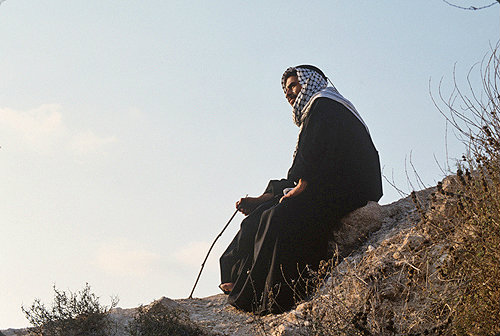 Israel, young Arab sitting on a rock contemplating, south west of Jerusalem
