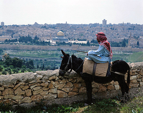 Israel, Jerusalem, Dome of the Rock and Arab on a donkey