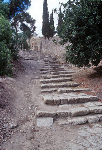 Israel, Jerusalem, St Peter in Gallicantu, steps from the time of Christ leading from Caiaphas