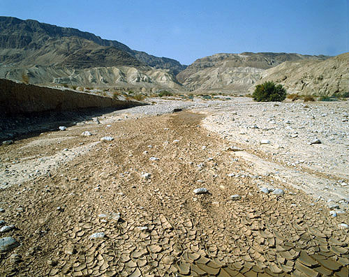 Israel, dried up river in the foothills of the Judean Hills