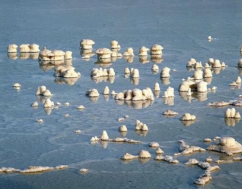 Israel, the Dead Sea, small pillars of salt