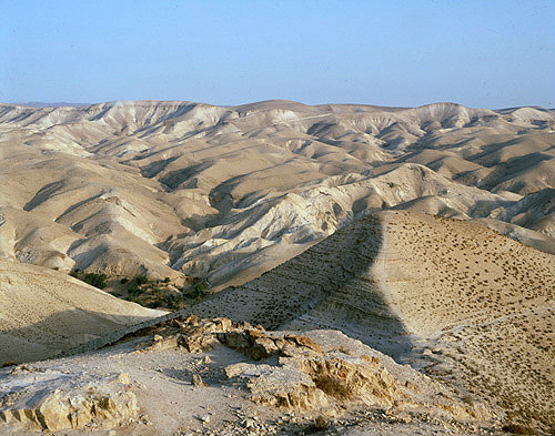 Israel, Oasis in the Judean Desert