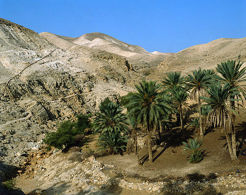 Israel, Wadi el Qilt in the Judean Hills due west of Jericho