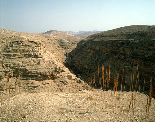 Israel, gorge near Mar Saba monastery in the Judean Hills, looking east