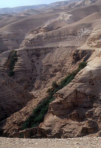 Israel, Judean Hills, the old Jericho to Jerusalaem road above springs in Wadi Qilt