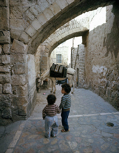 Israel, Jerusalem, donkey with water cans, tethered in the old city, and two small boys