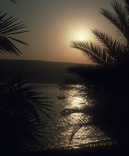 Fishing boats at sunrise, seen between palms, Sea of Galilee, Israel