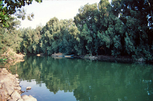 Israel,  River Jordan fishing boats moored underneath the trees