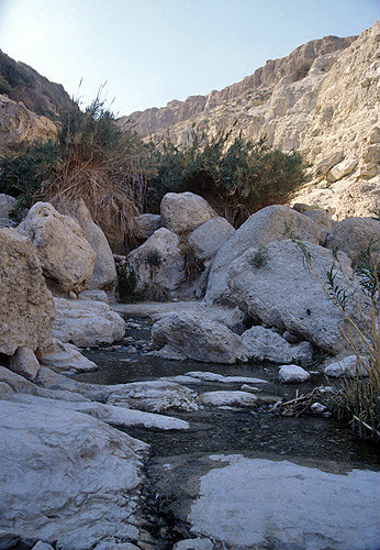 Israel, Ein Gedi, stream near David