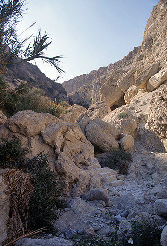 Israel, Ein Gedi,  dried stream near David