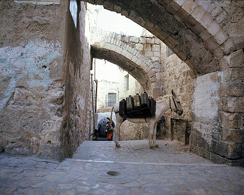 Israel, Jerusalem, a donkey with water cans tethered in a street in the old city