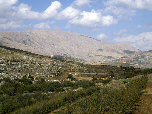 Israel, view of Mount Hermon across fruit trees
