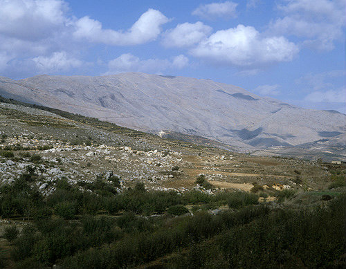 Israel, the Golan Heights view of Mount Hermon across an orchard