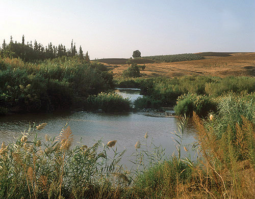 Israel, the River Jordan, south of Galilee, reeds in the foreground, taken in 1984 before excessive extraction reduced its flow