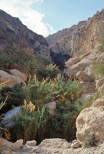 Israel, waterfall below Davids Spring at Ein Gedi