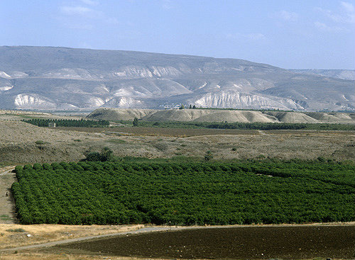 Israel, view across a citrus plantation in the Jordan Valley, mountains of Gilead