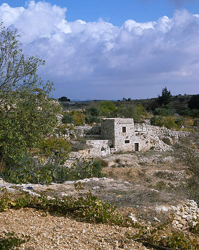 Israel, stone watch tower in vineyard near Hebron