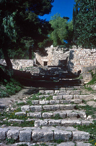 Israel, Jerusalem, St Peter in Gallicantu, ancient pathway to the Garden of Gethsemane
