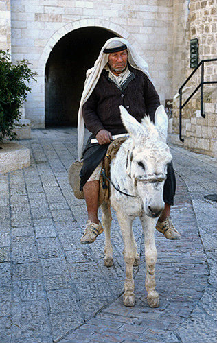 Israel, Jerusalem, Arab on a donkey