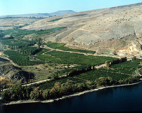Israel, aerial view of citrus groves on the west shore of the Sea of Galilee