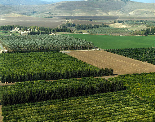 Israel, aerial view of fruit plantations south of Galilee