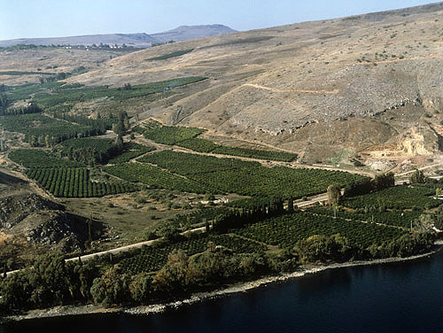 Israel, aerial view of Galilee, citrus groves on west shore of Sea of Galilee