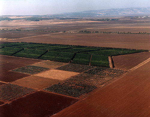 Jezreel valley, aerial view, Israel
