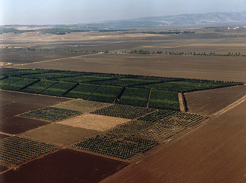 Israel, aerial view of the Jezreel Valley