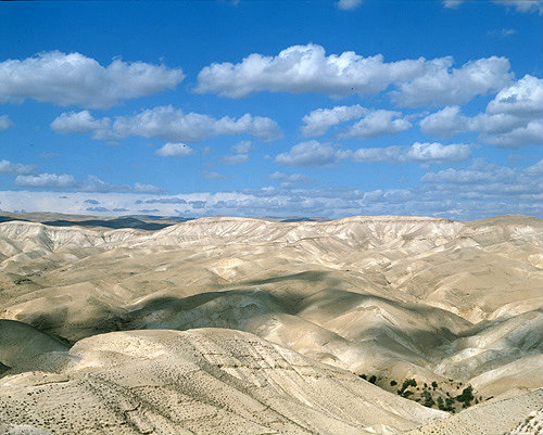 Israel, the Judean Hills and Oasis west of Jericho