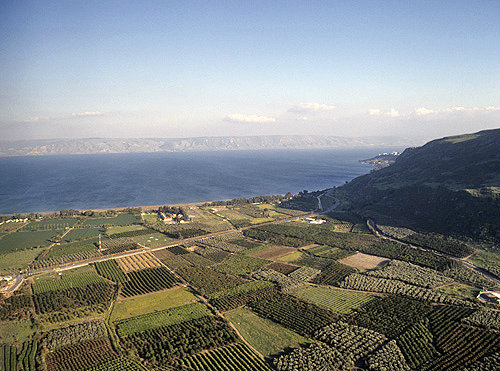 Israel, Galilee, aerial view of cultivated grove north of Tiberius