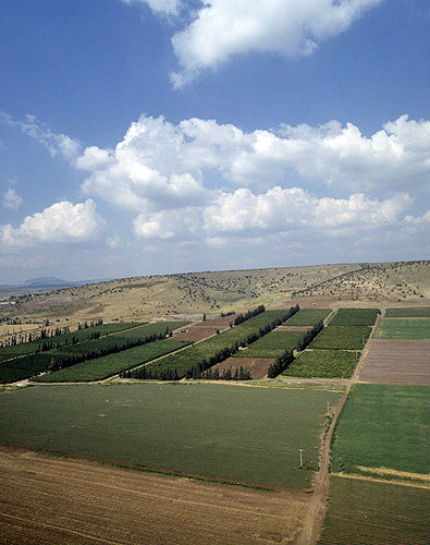 Israel, aerial view of cultivated fields in the Jezreel Valley looking east with Mount Tabor in the distance
