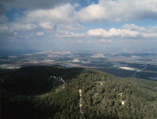 Mount Carmel, aerial of summit from NNW with Haifa beyond, Israel