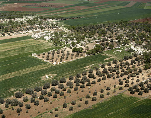 Israel, aerial view of cultivated fields in Jezereel Valley, olive groves