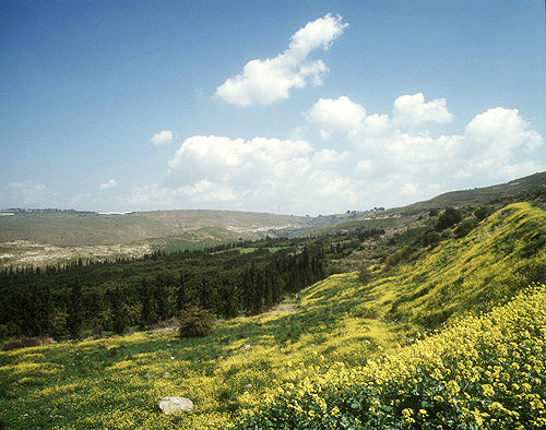 Foothills of Golan Heights, Galilee, Israel