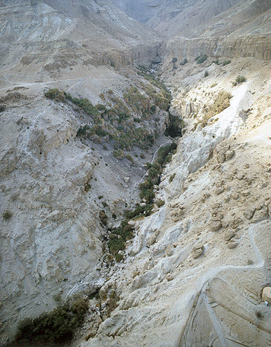 Israel, aerial view of Davids Spring at Ein Gedi